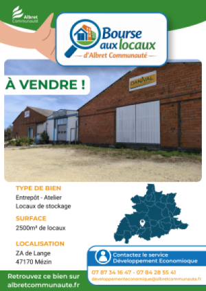 Flyer promotion DELOUBE